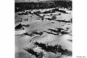 173- ARMEE DE L'AIR EN ALGERIE 1945-1962-21 (49)